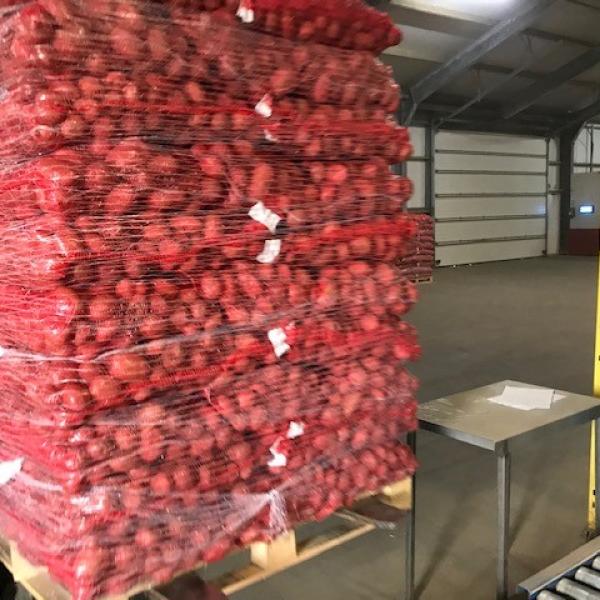 Primofin - Washing & Packing potatoes