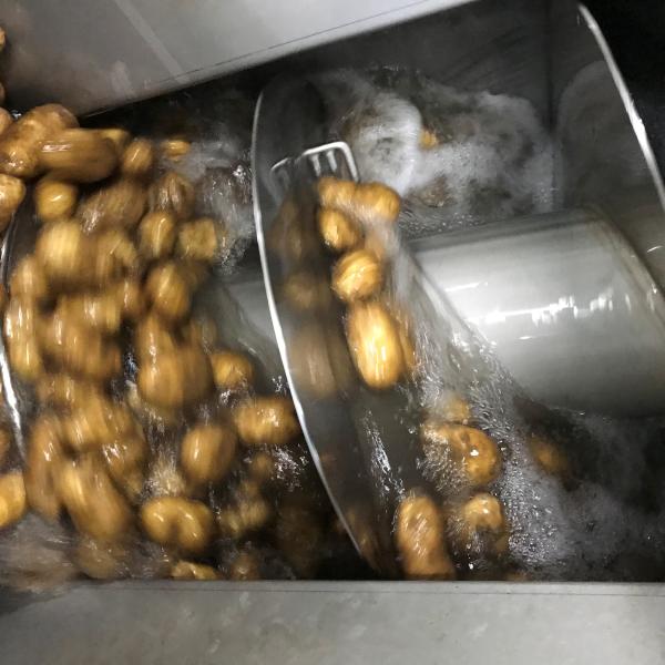 Aardappelen exportlijn