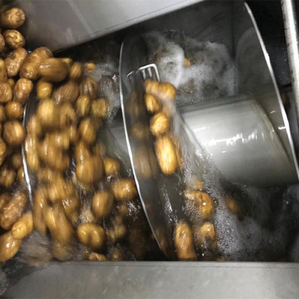 Promofin - Washing & Packing potatoes